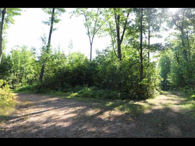 Stone Lake Land Real Estate