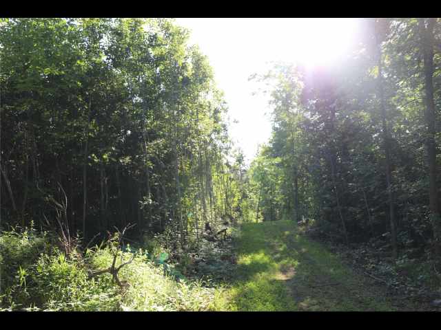 Stone Lake Land Real Estate