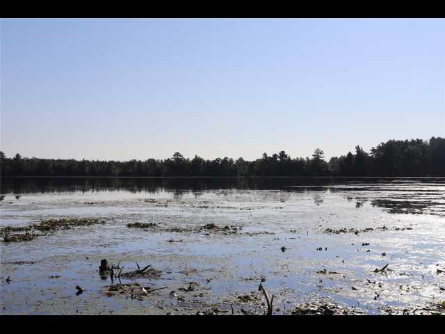 Stone Lake Land Real Estate