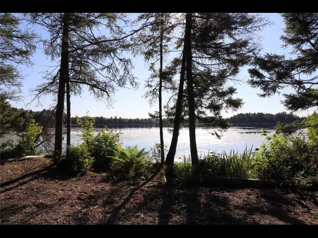 Stone Lake Land Real Estate