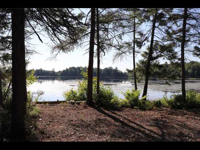 Stone Lake Land Real Estate