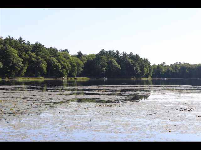 Stone Lake Land Real Estate