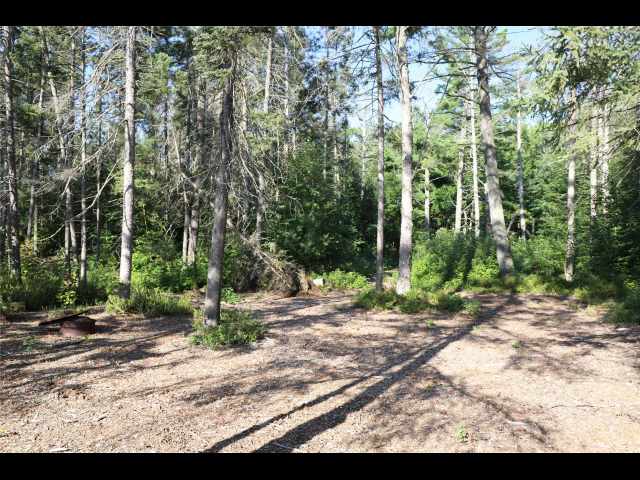 Stone Lake Land Real Estate