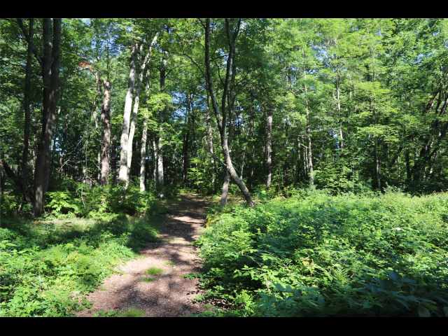 Stone Lake Land Real Estate