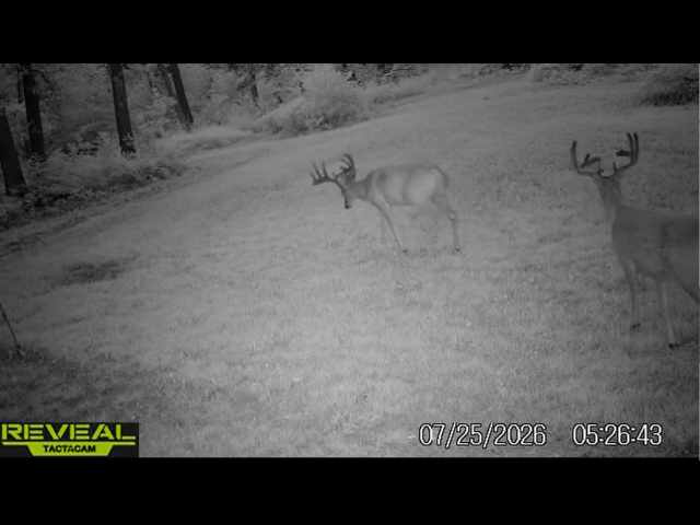 Stone Lake Land Real Estate