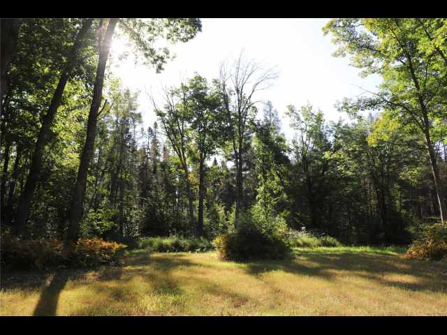 Stone Lake Land Real Estate
