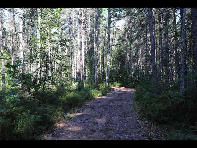 Stone Lake Land Real Estate