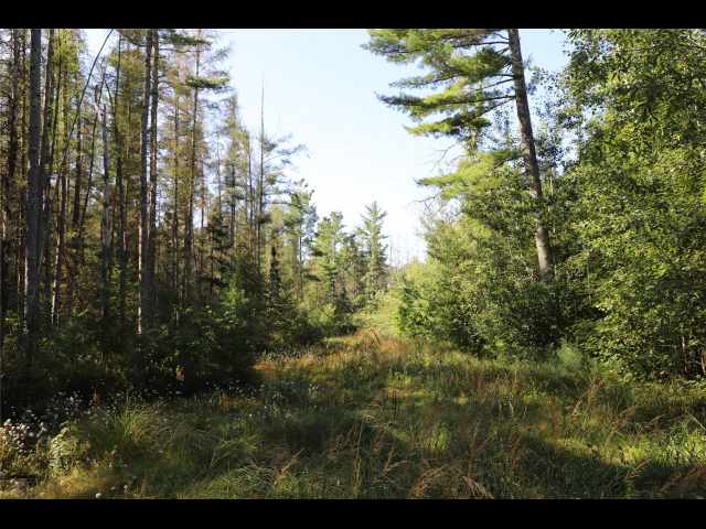 Stone Lake Land Real Estate
