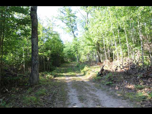 Stone Lake Land Real Estate