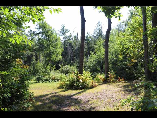 Stone Lake Land Real Estate