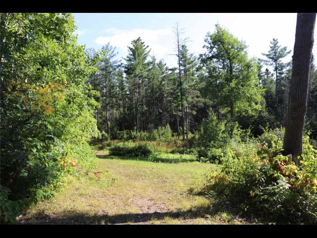 Stone Lake Land Real Estate