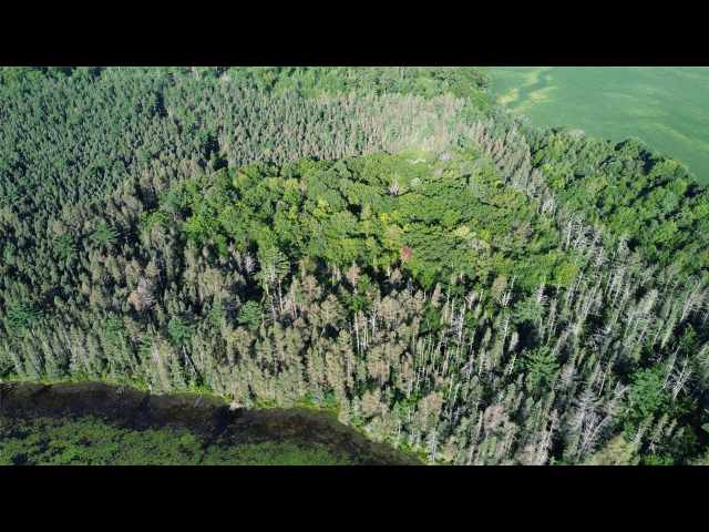 Stone Lake Land Real Estate