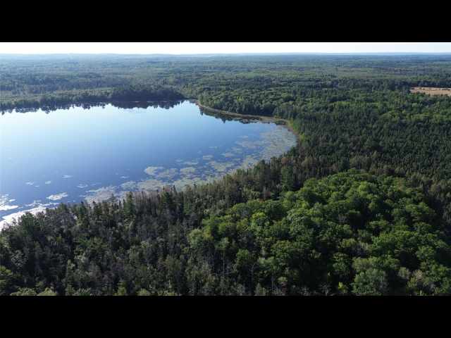 Stone Lake Land Real Estate