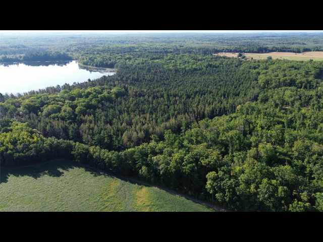 Stone Lake Land Real Estate
