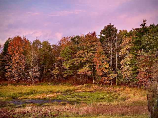 Holcombe Residential Real Estate