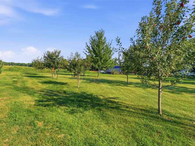 Thorp Residential Real Estate
