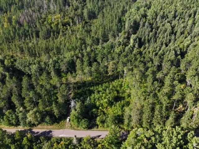 Trego Land Real Estate