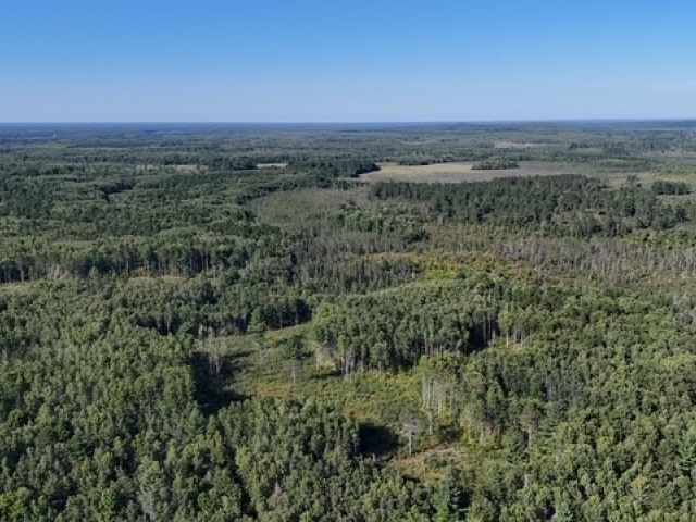 Trego Land Real Estate