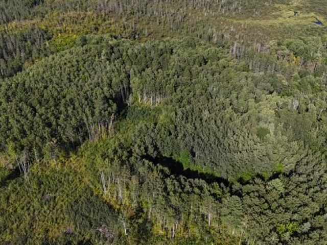 Trego Land Real Estate