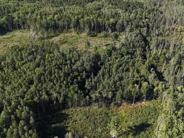Trego Land Real Estate