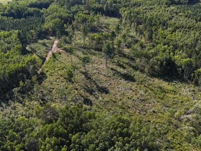 Trego Land Real Estate