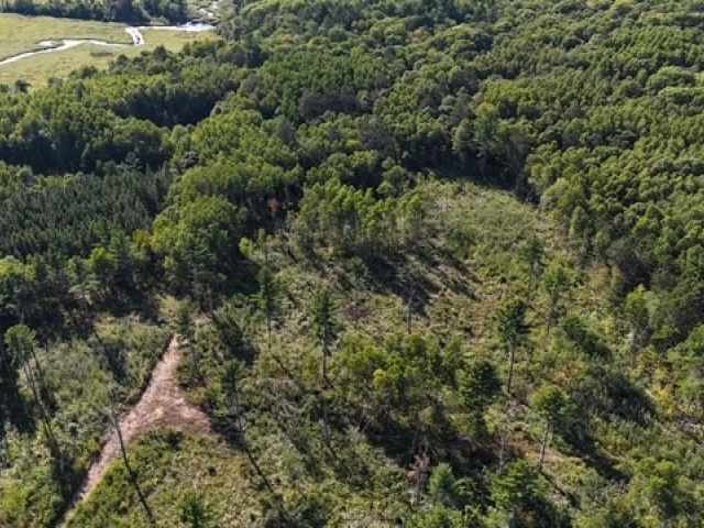 Trego Land Real Estate