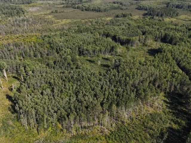 Trego Land Real Estate
