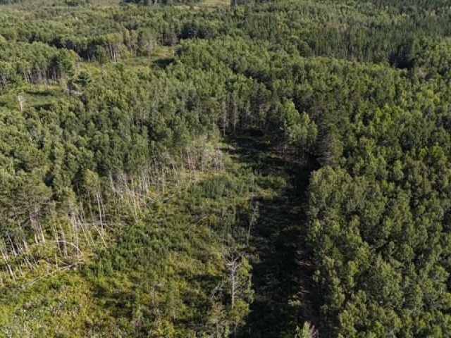 Trego Land Real Estate