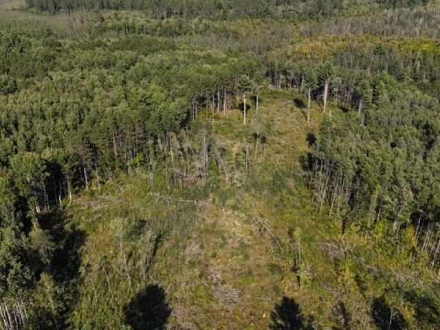 Trego Land Real Estate