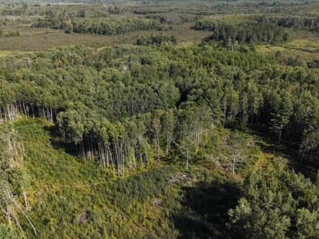 Trego Land Real Estate