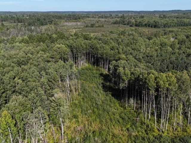 Trego Land Real Estate