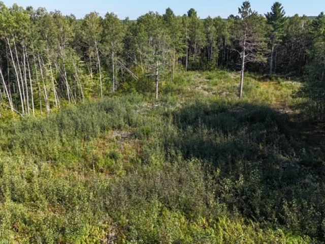Trego Land Real Estate