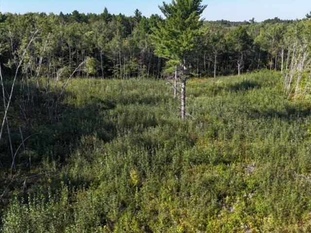 Trego Land Real Estate