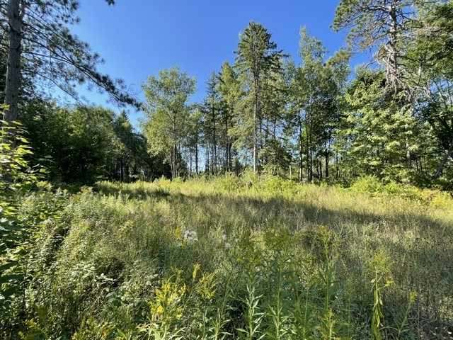 Trego Land Real Estate
