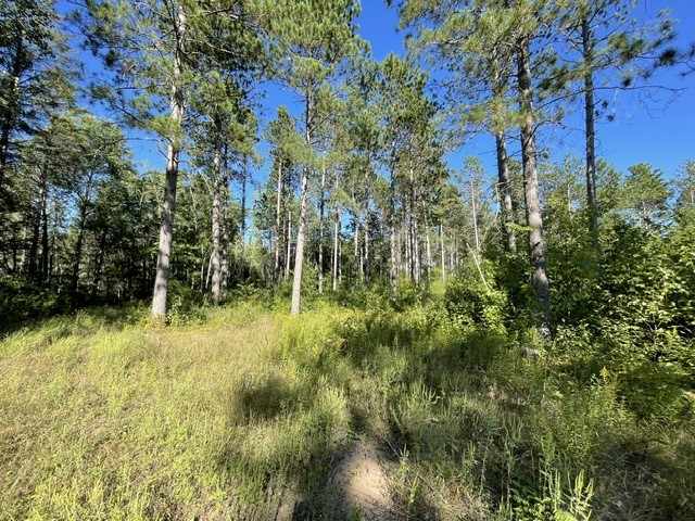 Trego Land Real Estate
