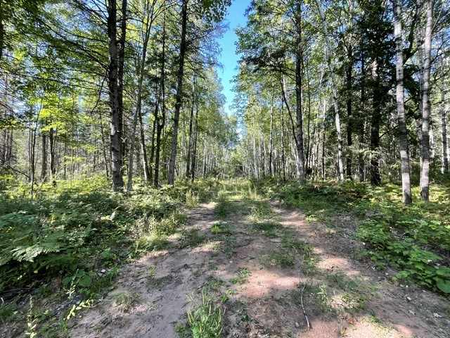 Trego Land Real Estate