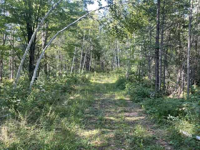 Trego Land Real Estate