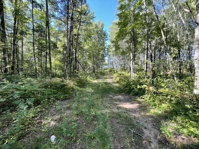 Trego Land Real Estate