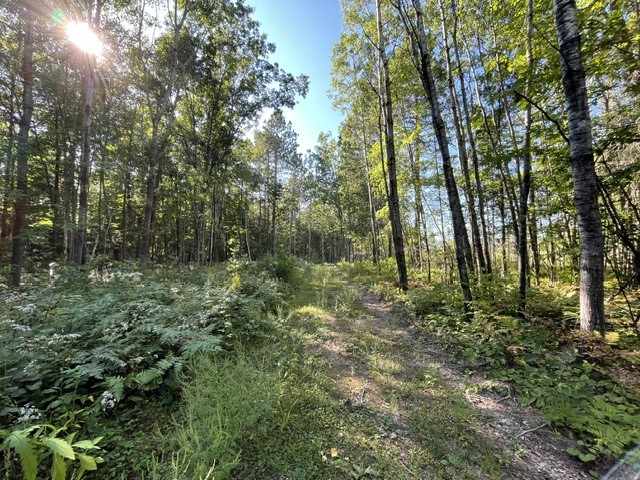 Trego Land Real Estate