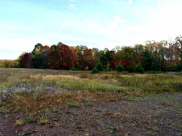 Spooner Land Real Estate