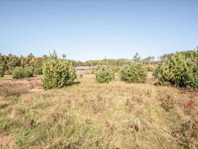 Colfax Residential Real Estate